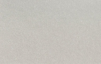 RAL 9006