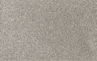 RAL 9007